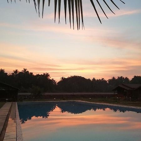 Radhika Eco Resort Arambol Ngoại thất bức ảnh