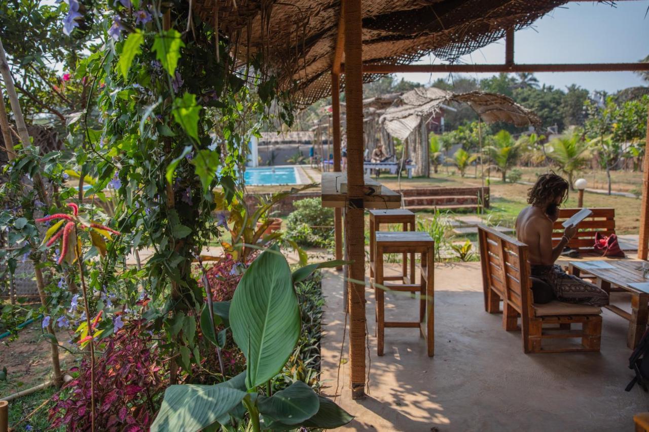 Radhika Eco Resort Arambol Ngoại thất bức ảnh